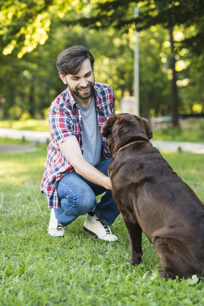 young-man-playing-with-his-dog-green-grass (1)